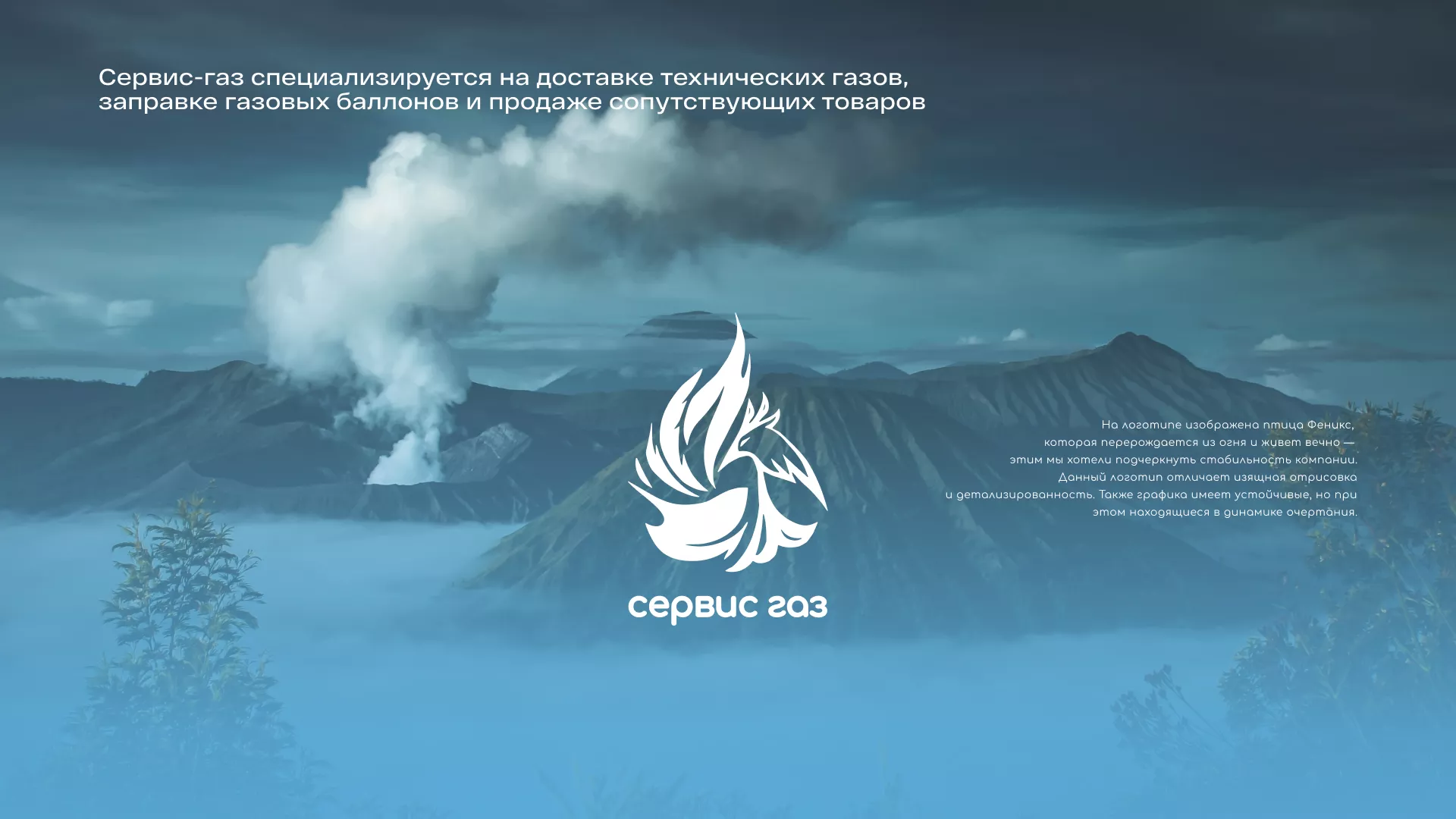 Создание сайта компании «Сервис газ» в Ельне