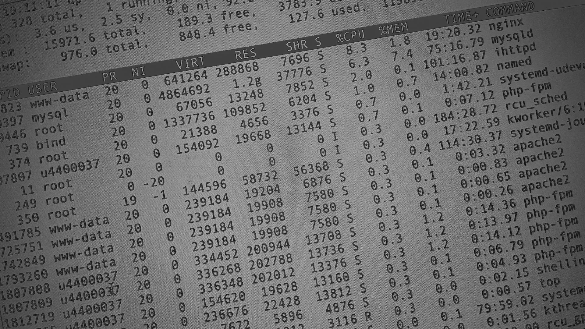 Настройка сервера в Ельне Настройка сервера в Ельне